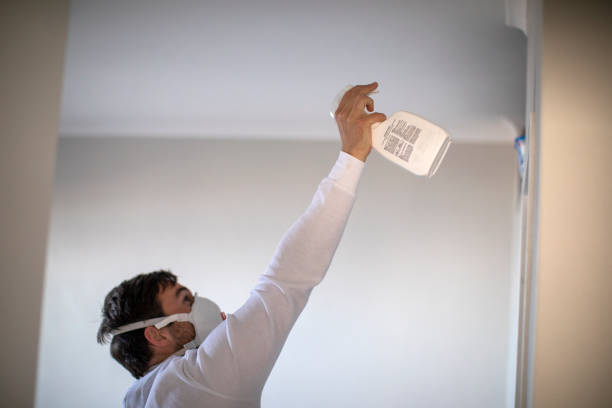 Best Post-Flood Mold Remediation in Ttapoisett Center, MA