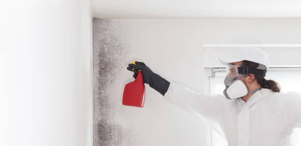 Best Bathroom Mold Remediation in Ttapoisett Center, MA